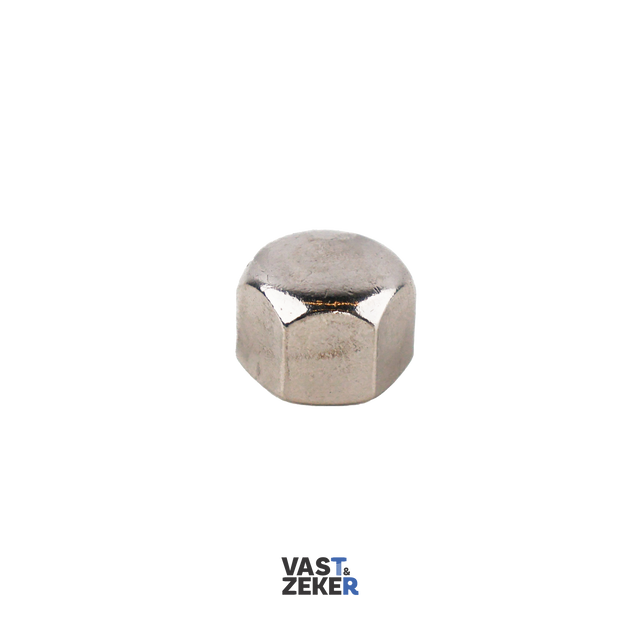 DIN917 Lage Zeskantdopmoer RVS-A4