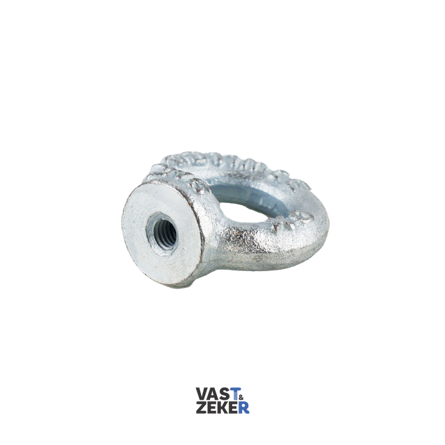 DIN582 Oogmoer Elektrolytisch Verzinkt