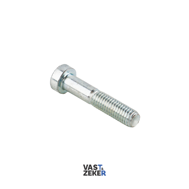 DIN6912 Lage Cilinderkop Inbusbout M12 Elektrolytisch Verzinkt