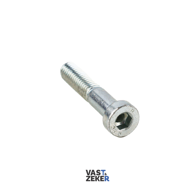 DIN6912 Lage Cilinderkop Inbusbout M12 Elektrolytisch Verzinkt