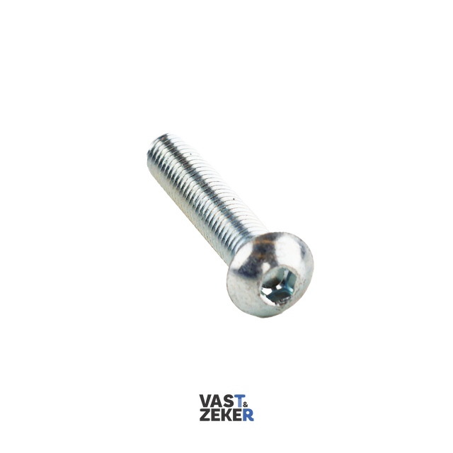 ISO7380-1 Bolkop Inbusbout M6 Elektrolytisch Verzinkt