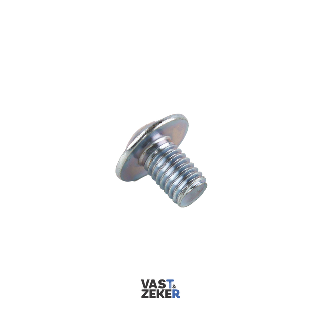 ISO7380-2 Bolkop met Flens Inbusbout M12 Elektrolytisch Verzinkt