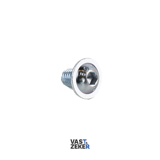 ISO7380-2 Bolkop met Flens Inbusbout M12 Elektrolytisch Verzinkt