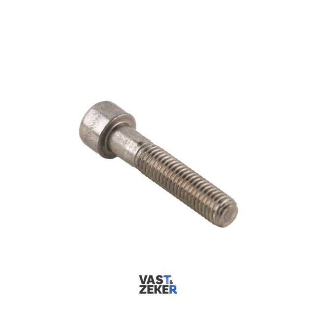 DIN912 Cilinderkop Inbusbout M10 RVS-A2