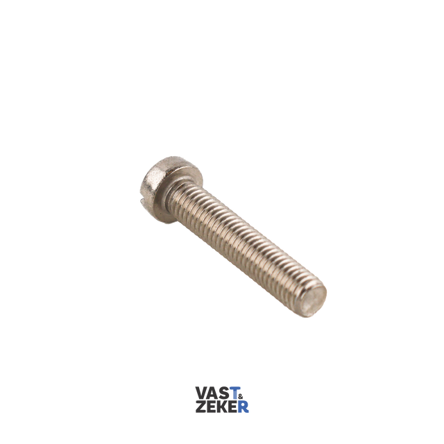 DIN84 Cilindrische Metaalschroef M6 RVS-A2