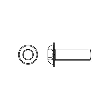 ISO7380-2 Bolkop met Flens Inbusbout M6 Elektrolytisch Verzinkt